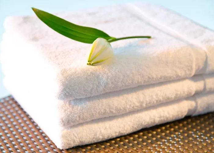 Penz West Інсбрук